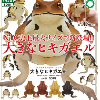 Japonija Ikimon Gashapon Kapsulė Žaislas Didelis Varlė Apdailos Varlės Gyvūnų Nuskaityti Didžiulis Augintiniai
