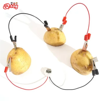 Bulvių Vaisių Biologia Energijos Generuoti Elektros energiją Mokslų Eksperimentas Švietimo Žaislai Vaikams, Vaikams, Mokyklos Elektrinis STIEBO Rinkinys