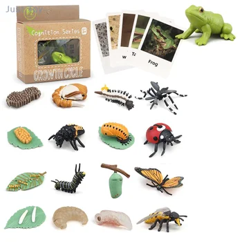 Naujoviškas Modeliavimas Augalų, Vabzdžių Montessori Vaikų Ikimokyklinio Mokymo Priemones Gyvūnų Augimo Ciklo Pavyzdžiu, Pažintinių, Kad