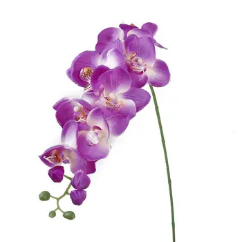 Orchidėja, Dirbtiniai Gėlių Žiedai, Vestuvių Augalų Modeliavimo Augalai Netikrą Tvarka Kamieninių Balta Apdaila Susitarimą Su Už
